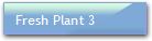 Fresh Plant 3